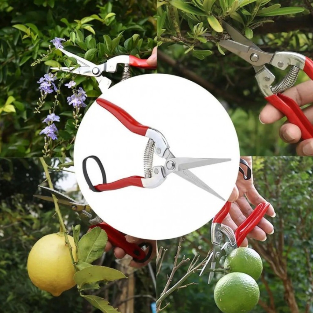 Прививочный секатор Professional Grafting Tool для сада, виноградников и питомников